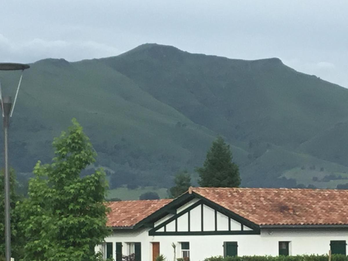 Maison Fleurie Uhart-Cize Buitenkant foto
