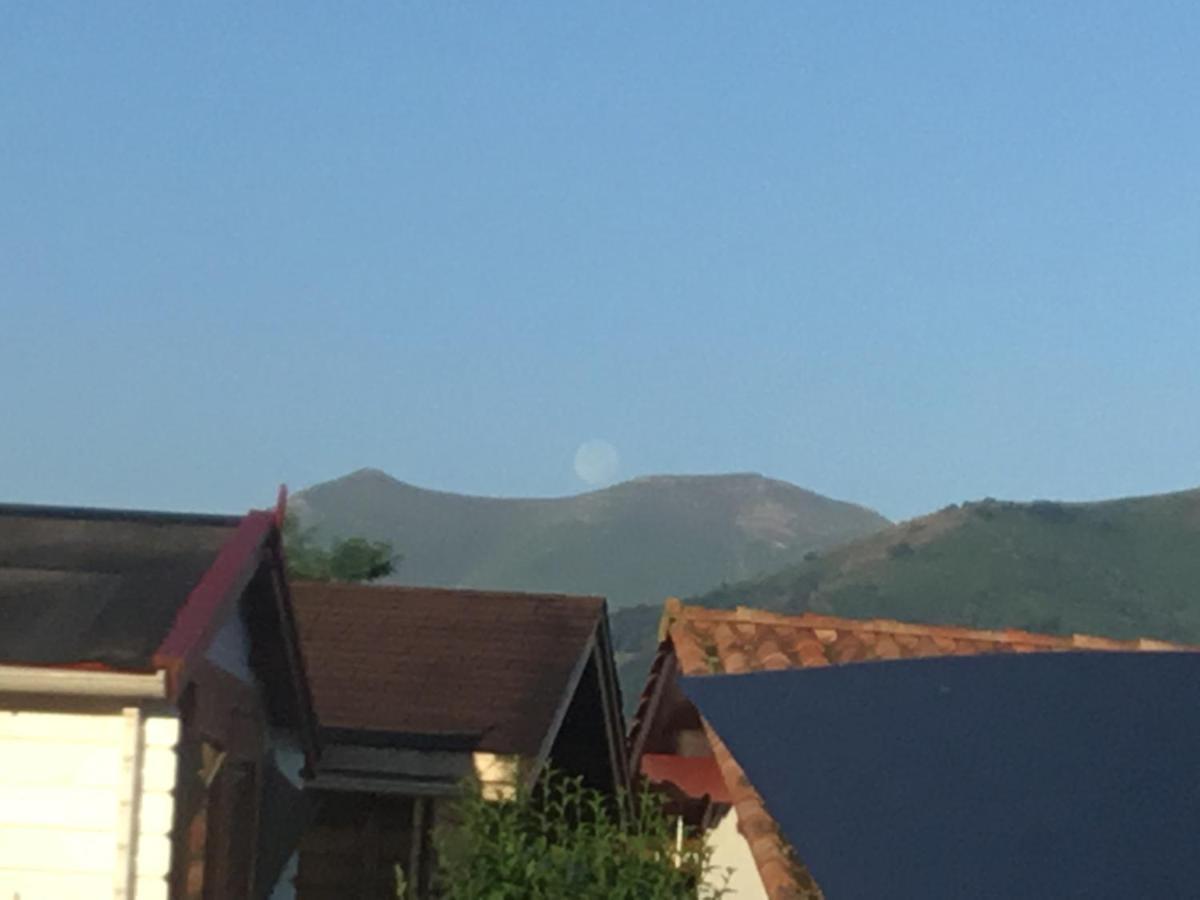 Maison Fleurie Uhart-Cize Buitenkant foto